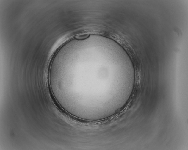 X0000113130004200909181718