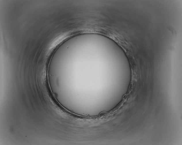 X0000113130005200909181718