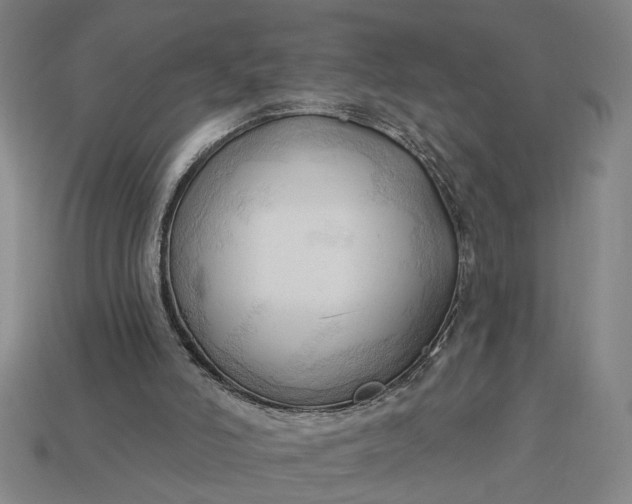 X0000113130006200909181718