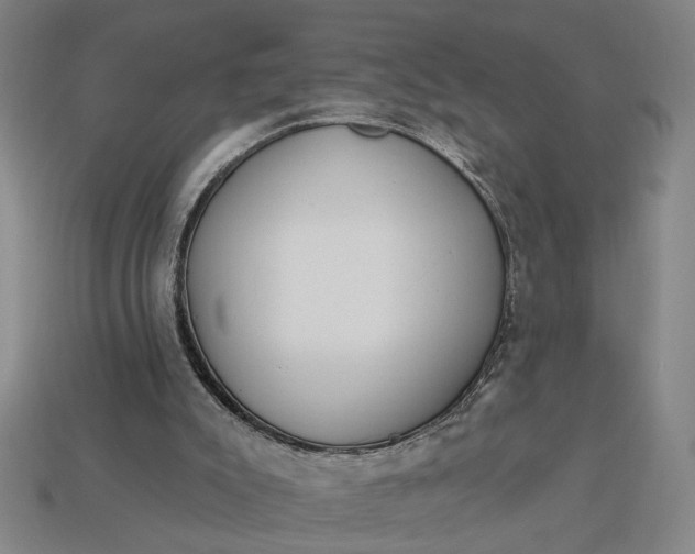 X0000113130007200909181718