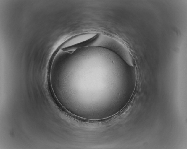 X0000113130008200909181718