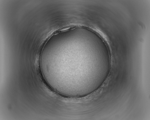 X0000113130009200909181718