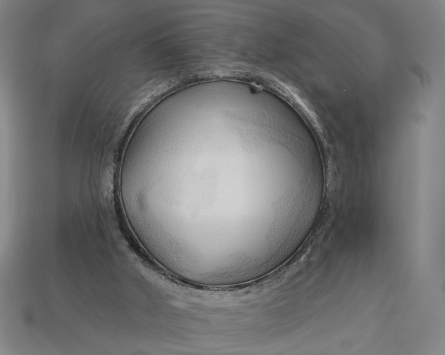 X0000113130010200909181718