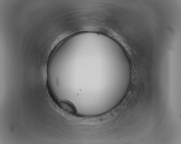 X0000113130011200909181718