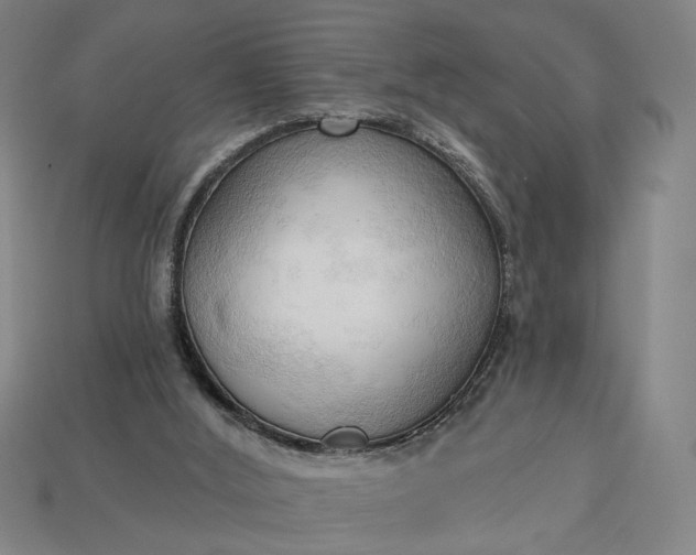 X0000113130012200909181718