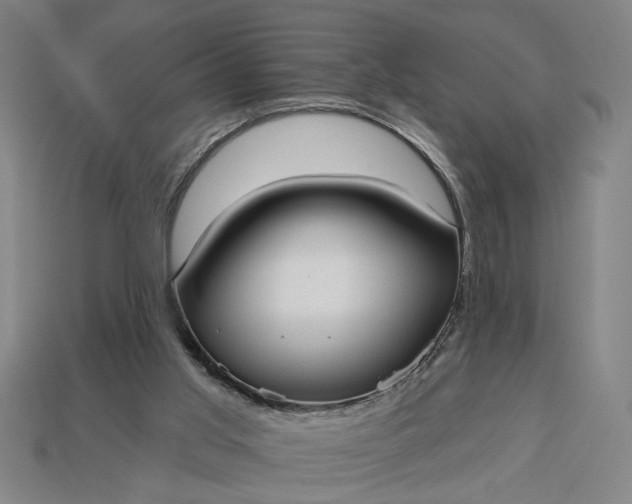 X0000113130013200909181718