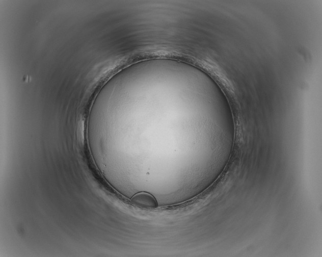 X0000113130014200909181718