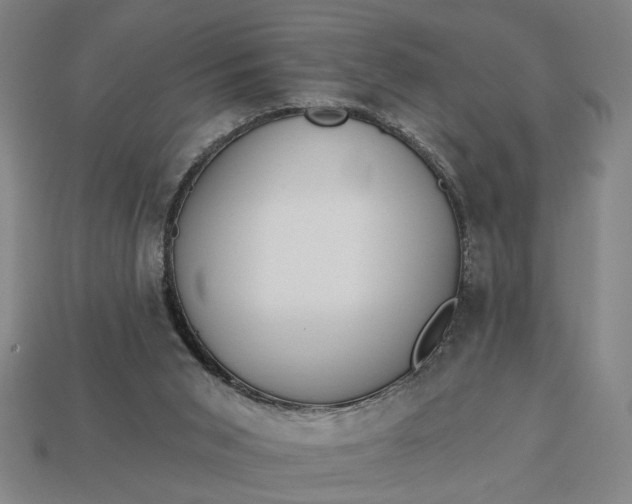 X0000113130015200909181718