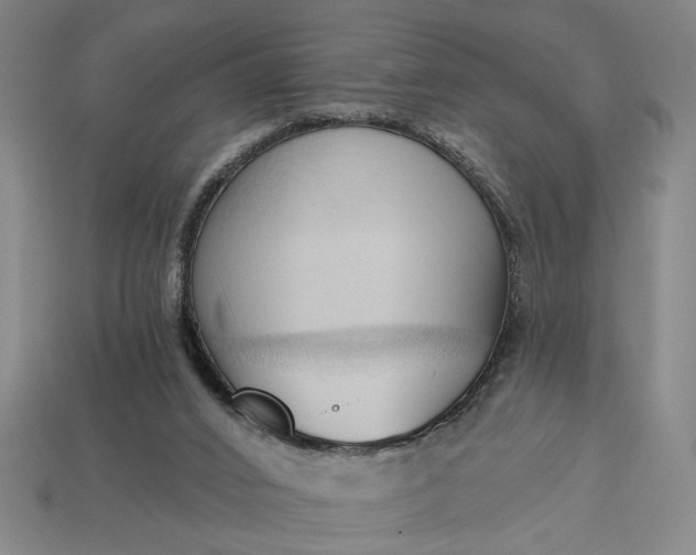 X0000113130016200909181718