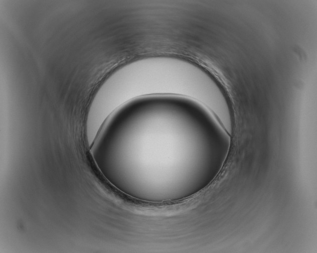 X0000113130017200909181718