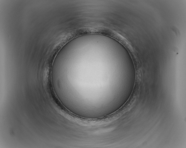 X0000113130018200909181718