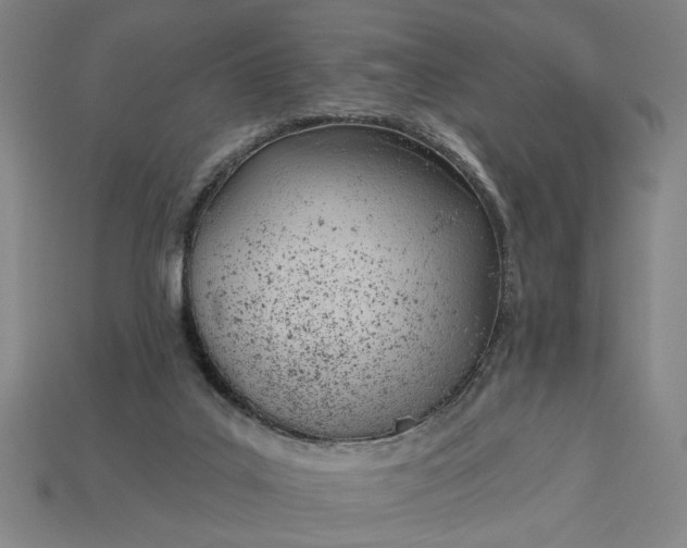 X0000113130019200909181718