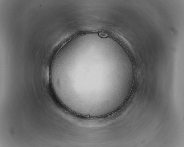 X0000113130020200909181718