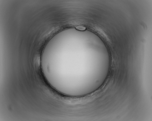 X0000113130021200909181718