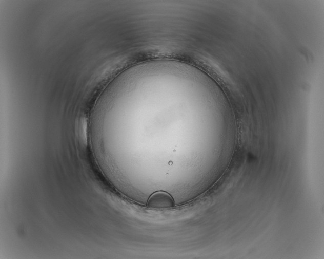 X0000113130022200909181718