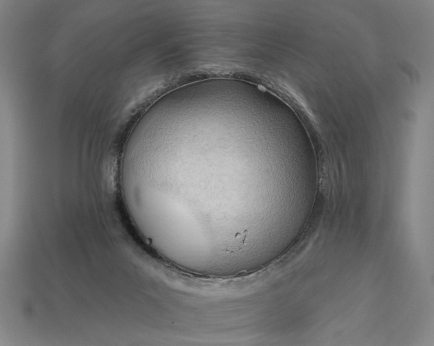 X0000113130023200909181718