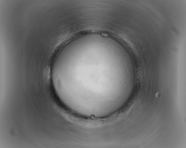 X0000113130024200909181718