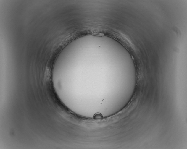 X0000113130025200909181718