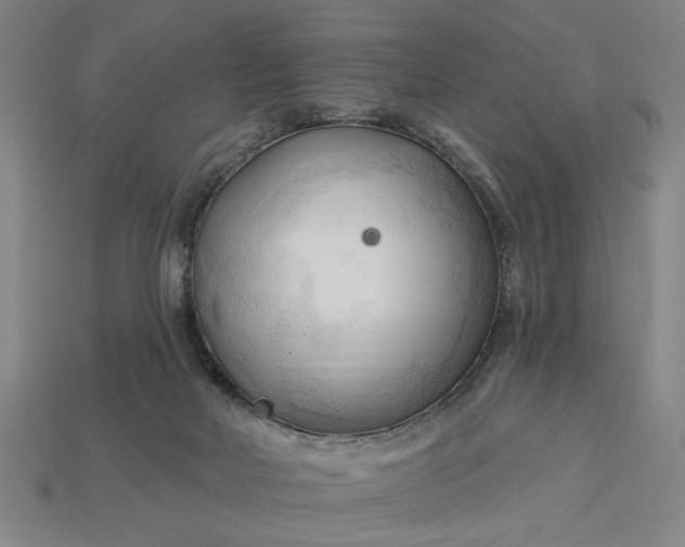 X0000113130026200909181718