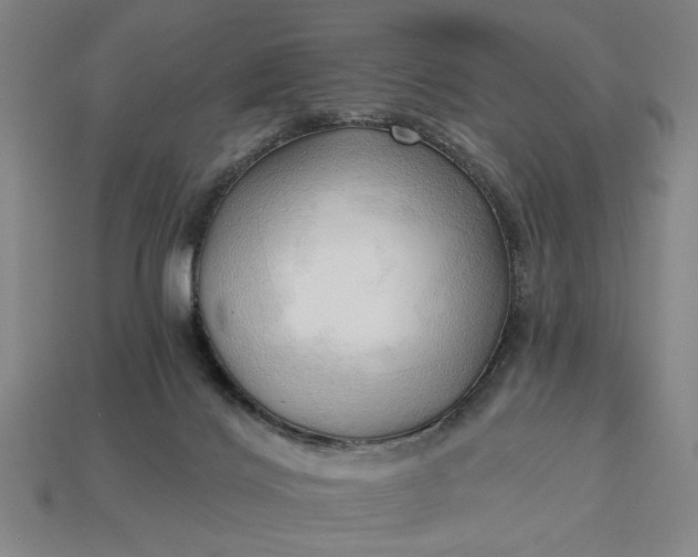 X0000113130028200909181718