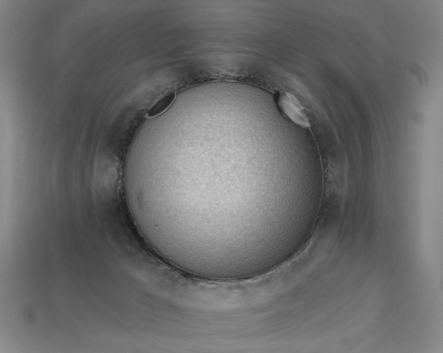 X0000113130029200909181718