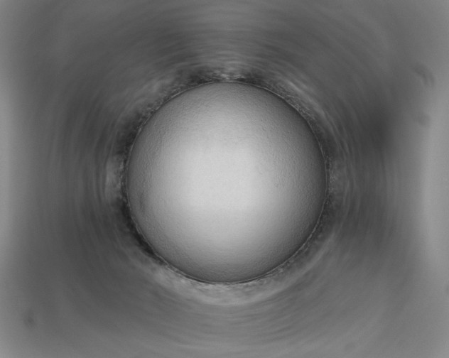 X0000113130030200909181718