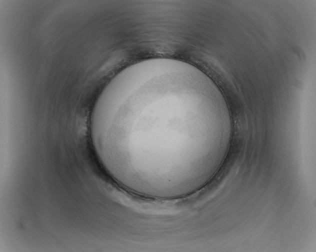 X0000113130032200909181718