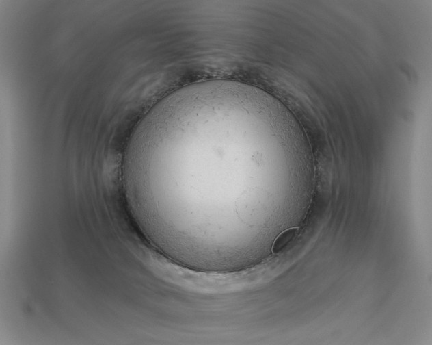 X0000113130034200909181718