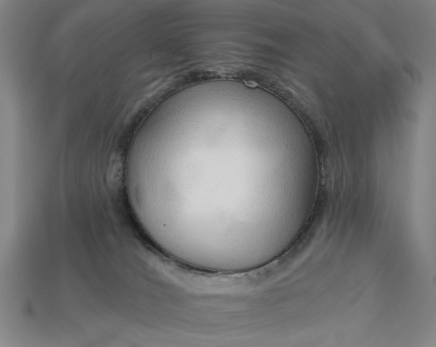 X0000113130036200909181718