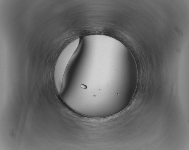 X0000113130037200909181718