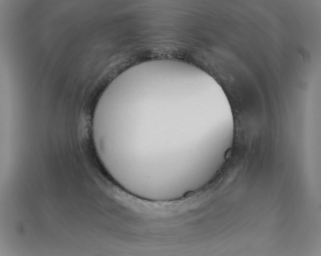 X0000113130038200909181718