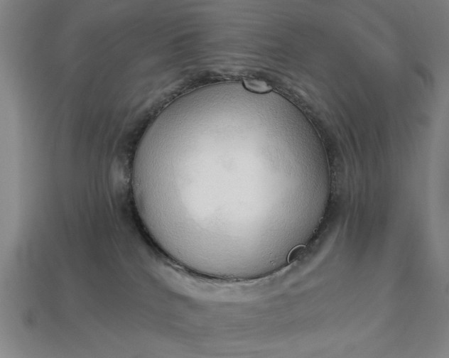 X0000113130040200909181718