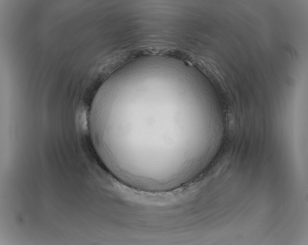 X0000113130042200909181718