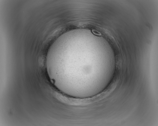 X0000113130044200909181718