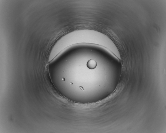 X0000113130045200909181718