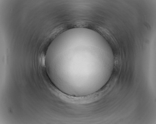 X0000113130046200909181718