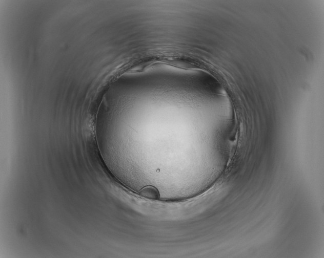 X0000113130048200909181718