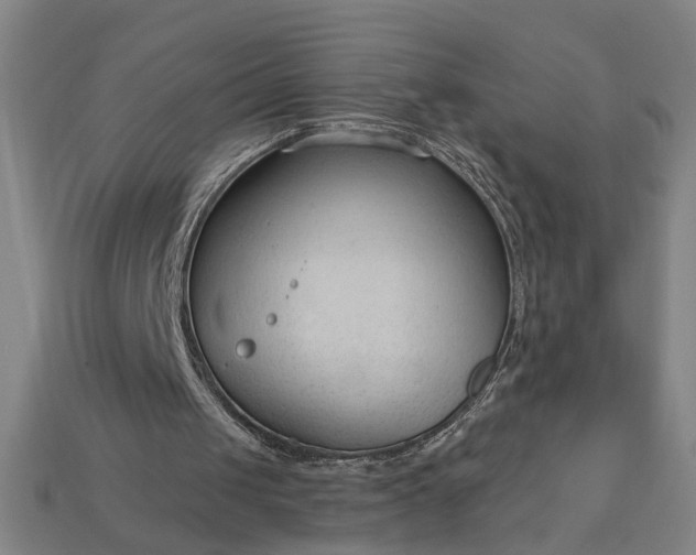 X0000113130049200909181717