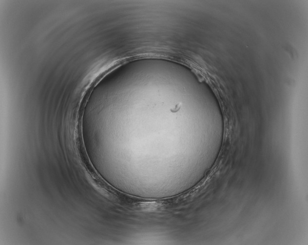 X0000113130050200909181717