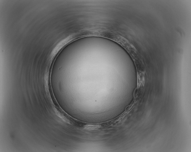 X0000113130051200909181717