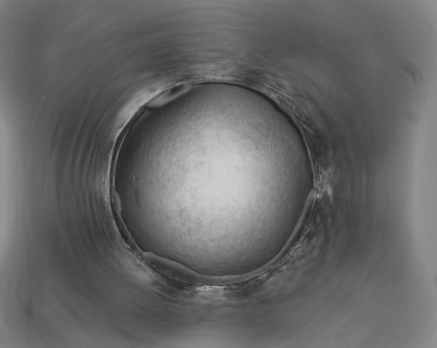 X0000113130052200909181717