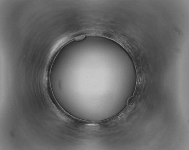 X0000113130053200909181717