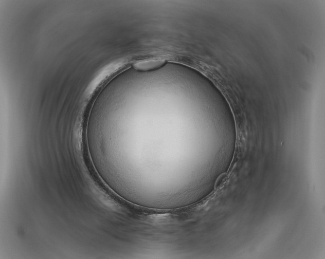 X0000113130054200909181717