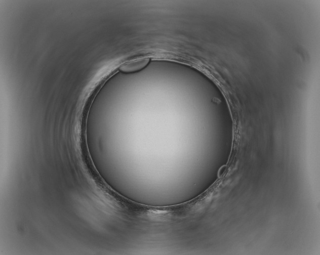 X0000113130055200909181717