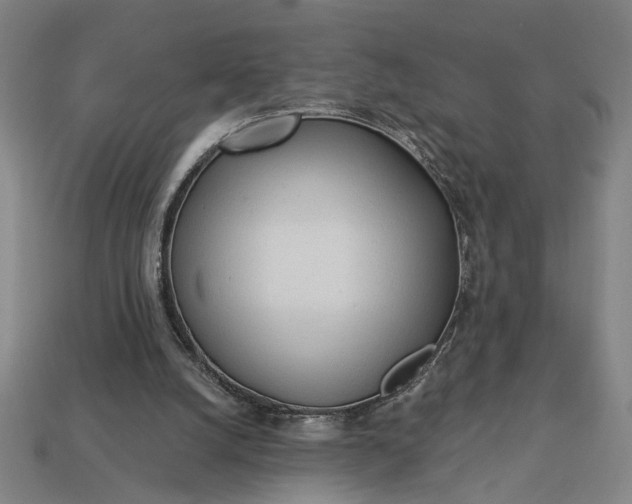 X0000113130056200909181717