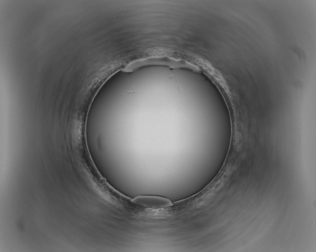 X0000113130057200909181717