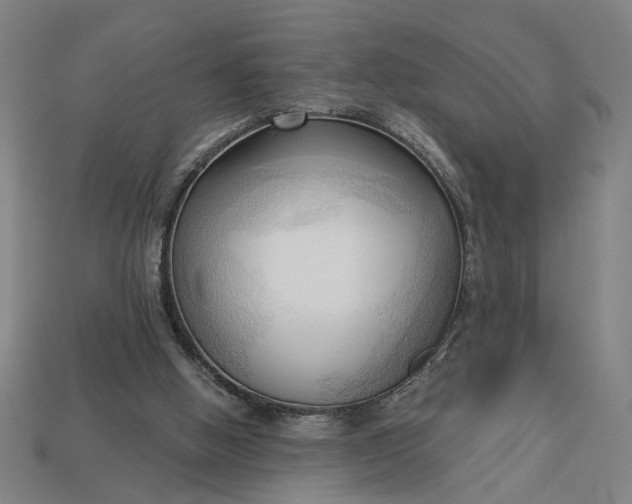 X0000113130058200909181717