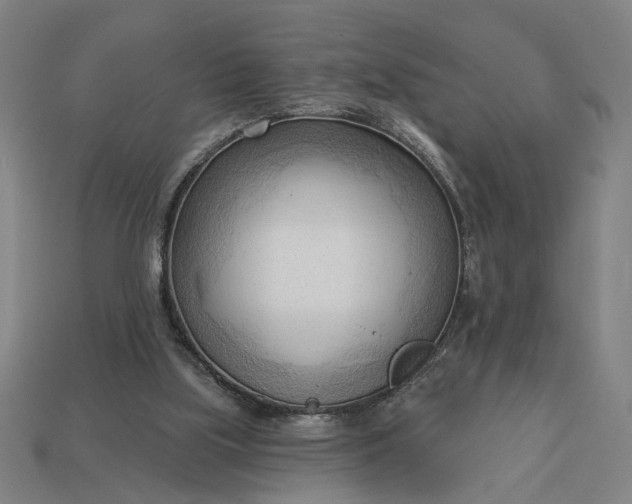 X0000113130059200909181717