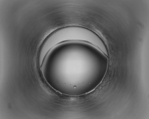 X0000113130060200909181717