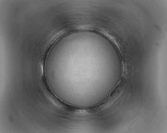 X0000113130061200909181717